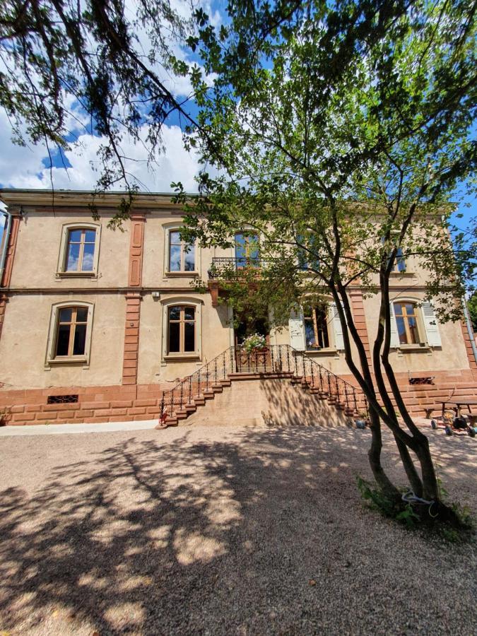Sojolidays - Appartements D'Hotes Sur La Route Des Vins D'Alsace Rorschwihr Экстерьер фото